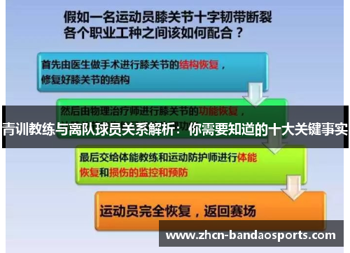 青训教练与离队球员关系解析：你需要知道的十大关键事实